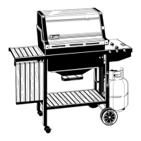 Preview: Weber 1200