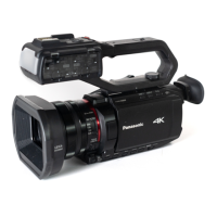 Preview: Panasonic AG-CX7