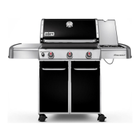 Preview: Weber GENESIS E-320