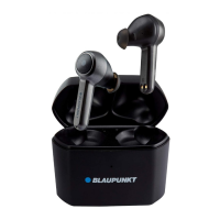 Preview: Blaupunkt BTW-Pro