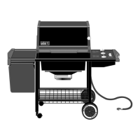 Preview: Weber Silver B