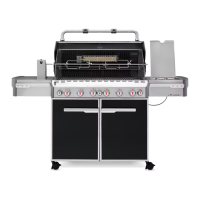 Preview: Weber SUMMIT S-670