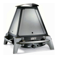 Preview: Weber FLAME