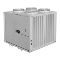 Preview: Trane RAUJ-C20