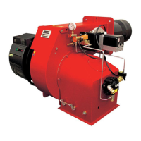 Preview: Ecoflam Maior P45 PR