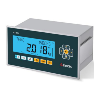 Preview: Flintec FT-111 Series