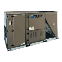 Preview: York Predator XP Series