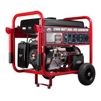 Preview: All-Power APGG12000GL