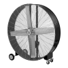 Fan Logo