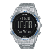 Preview: Pulsar W866