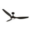 Fan Logo