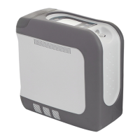 Preview: Drive DeVilbiss Healthcare iGo 2