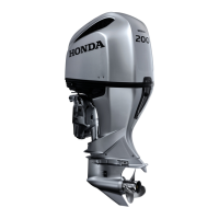 Preview: Honda BF200D