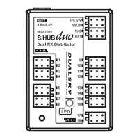 Preview: Dualsky S.HUB duo