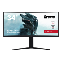 Preview: Iiyama G-Master GB3466WQSU