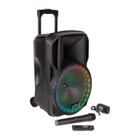 Preview: Party Light & Sound 12RGB