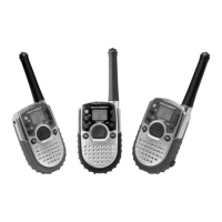 Preview: Motorola TALKABOUT TA288