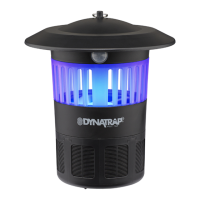 Preview: Dynamic Dynatrap 3