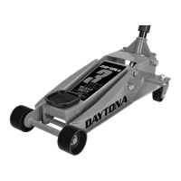 Preview: Daytona DS300SG