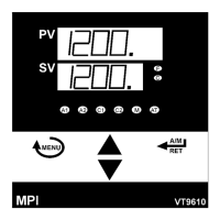 Preview: MPI VT10 Series