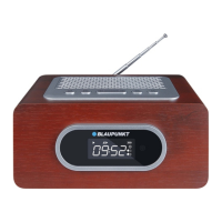 Preview: Blaupunkt PP6BR