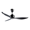 Fan Logo