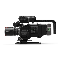 Preview: PANAVISION Millennium DXL