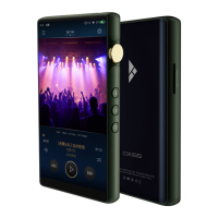 Preview: iBasso Audio DX160