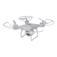 Preview: sky rider Pegasus