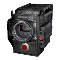 Preview: RED RANGER GEMINI 5K S35