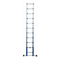 Preview: Telescopic Extension Ladder Series