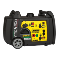 Preview: Champion Power Equipment 100396