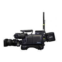 Preview: Ikegami HDK-99