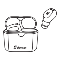 Preview: DAMSON HearBuds