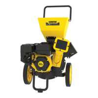Preview: Champion Power Equipment 100472
