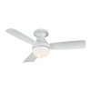 Fan Logo