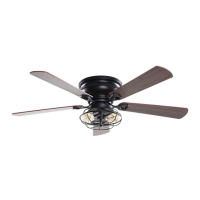 Preview: Parrot Uncle F6233