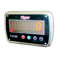 Preview: Tiger TI-01SS