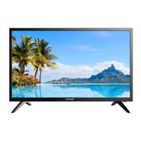 Preview: Blaupunkt BN24H1012EEB