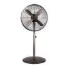 Fan Logo