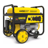Preview: Champion Power Equipment 200911