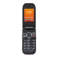 Preview: Consumer Cellular 101
