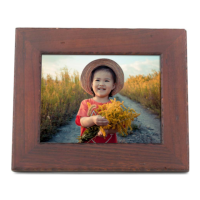 Preview: Polaroid PDWX-800CD