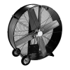 Fan Logo