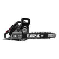 Preview: Black Max BM3716