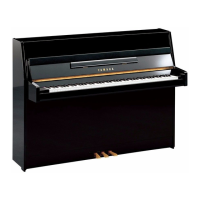 Preview: Yamaha Silent Series