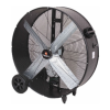 Fan Logo