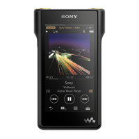 Preview: Sony NW-WM1A