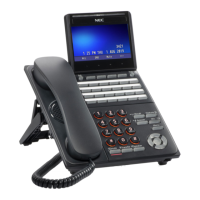 Preview: NEC DT930