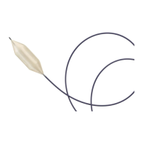 Preview: Atlas Gold PTA Dilatation Catheter